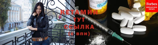 прущие грибы Покачи